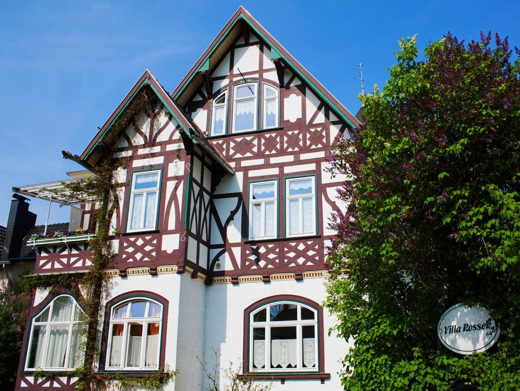 Hotel Villa Rossek Bad Liebenstein Dış mekan fotoğraf