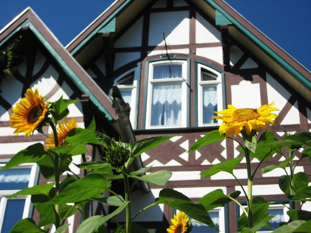 Hotel Villa Rossek Bad Liebenstein Dış mekan fotoğraf